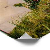 Küste Neuseelands Poster (Ecke)