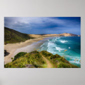 Küste Neuseelands Poster (Vorne)