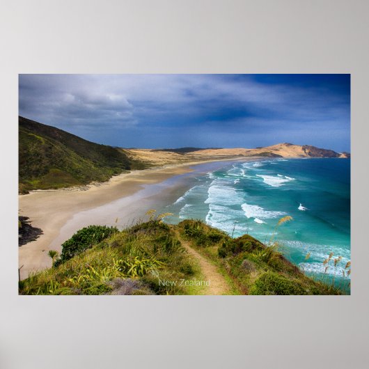 Küste Neuseelands Poster (Vorne)