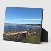 Küste, Oregon Fotoplatte (Seite)