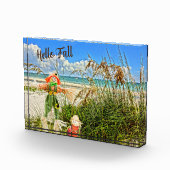 Küste Sanibel Island Florida Beach & Scarecrow Fotoblock (Rechts)