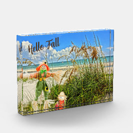 Küste Sanibel Island Florida Beach & Scarecrow Fotoblock