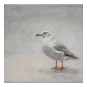 Küste Seagull Landschaft Poster