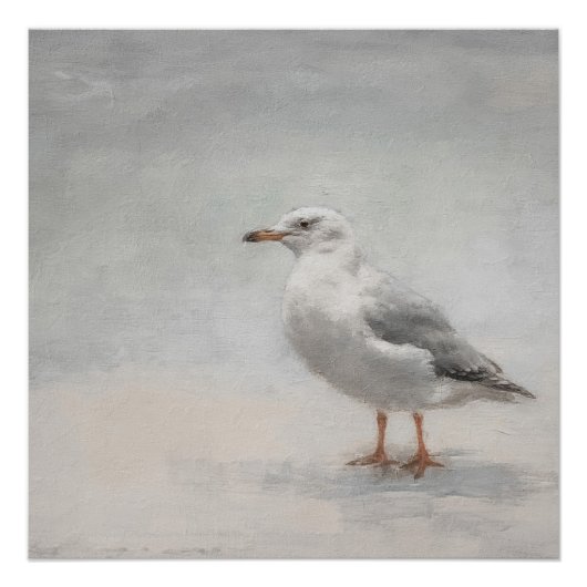 Küste Seagull Landschaft Poster (Vorderseite)