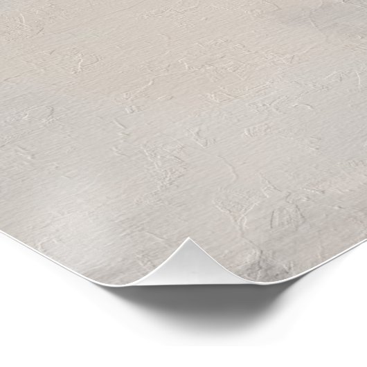 Küste Seagull Landschaft Poster (Ecke)