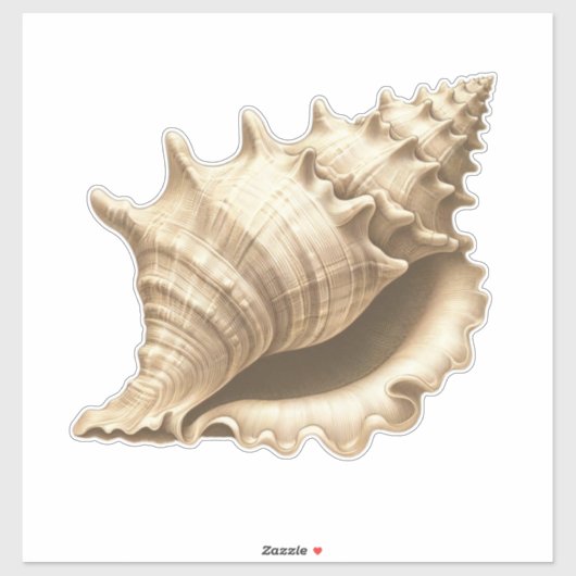 Küste/Strand/nautischer Muschel Aufkleber (Blatt)