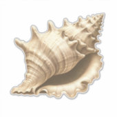 Küste/Strand/nautischer Muschel Aufkleber (Vorderseite)
