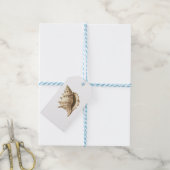 Küste/Strand/nautischer Muschel Geschenkanhänger (Mit Garn)