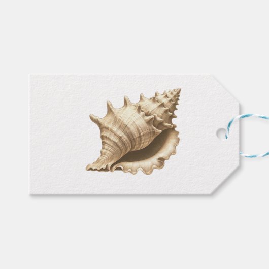 Küste/Strand/nautischer Muschel Geschenkanhänger (Vorderseite (Horizontal))