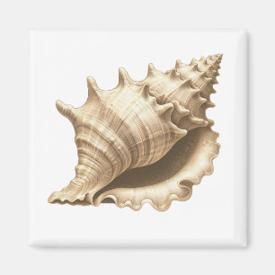 Küste/Strand/nautischer Muschel Magnet