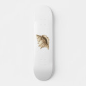 Küste/Strand/nautischer Muschel Skateboard (Vorne)