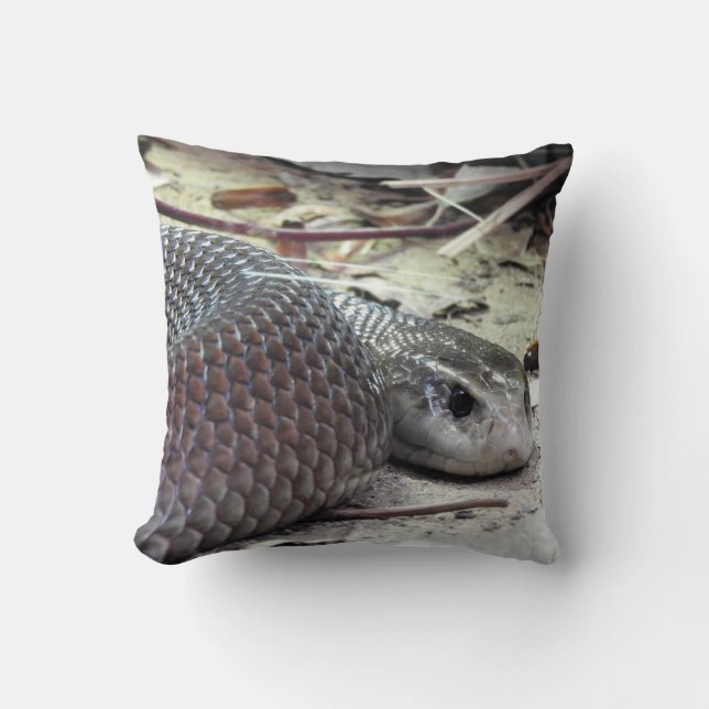 Küste Taipan Kissen (Vorderseite)