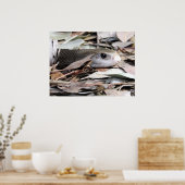 Küste Taipan Poster (Küche)