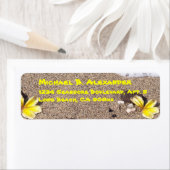 Küste und Muscheln (Insitu)