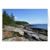 Küste von Bar Island im Acadia Nationalpark (Vorderseite (Horizontal))