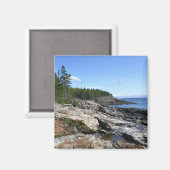 Küste von Bar Island im Acadia Nationalpark Magnet (Vorderseite/Rückseite)