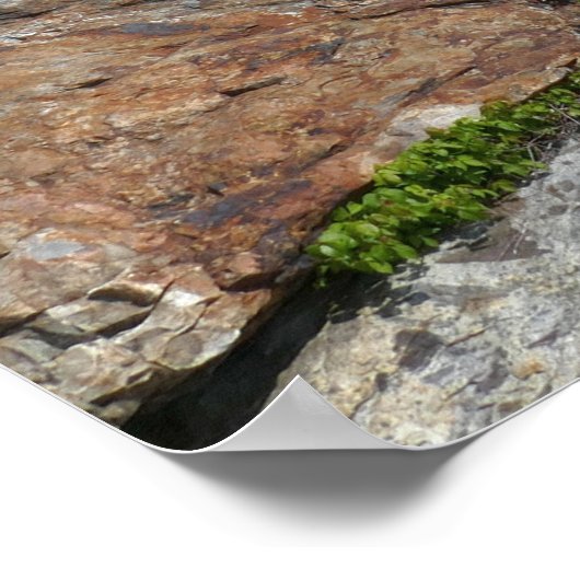 Küste von Bar Island im Acadia Nationalpark Poster (Ecke)