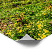 Küste von Big Sur, Kalifornien Poster (Ecke)