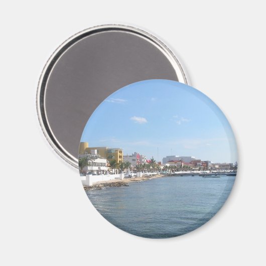 Küste von Cozumel Mexico Magnet (Vorderseite/Rückseite)