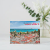 Küste von Galapagos Postkarte (Stehend Vorderseite)