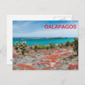 Küste von Galapagos Postkarte (Vorne/Hinten)