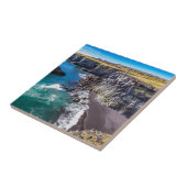 Küste von Hellnahraun, Island Fliese (Seite)