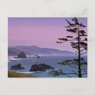 Küste von Oregon, Ecola Staat Park, Oregon Postkarte