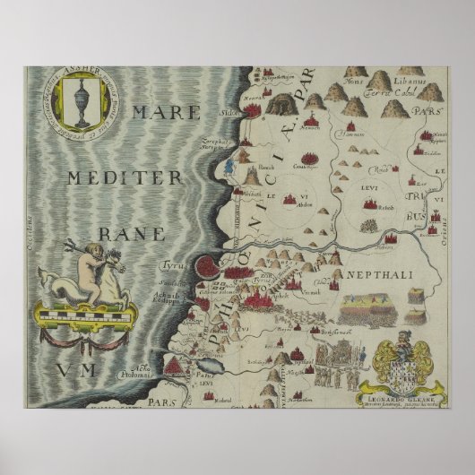 Küste von Phoenicia Poster (Vorne)