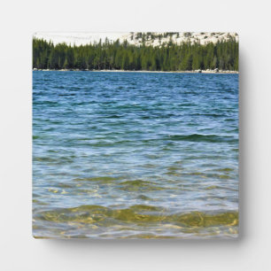 Küste von Tenaya Lake, Yosemite, CA Fotoplatte