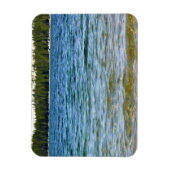 Küste von Tenaya Lake, Yosemite, CA Magnet (Vertikal)