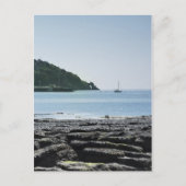 Küste von Torquay Postkarte (Vorderseite)