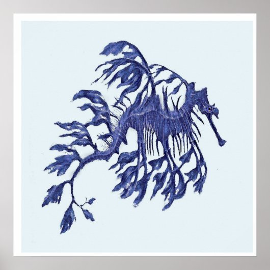 Küste - Wüstendrache Poster (Vorne)