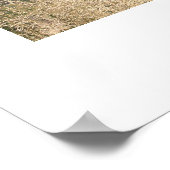 Küste Zentralkaliforniens Poster (Ecke)