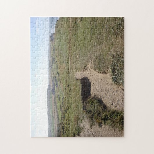 Küstelandschaft mit Sand und Gras geht Foto Puzzle (Vertikal)