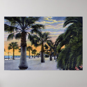 Küsten-Boulevard Santa Barbara Kalifornien Poster