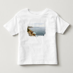 Küstenansicht des Acadia-Nationalparks Kleinkind T-shirt