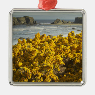 Küstenansichten, Bandon, Oregon Silbernes Ornament