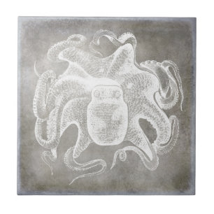 Küstenaquarell-Oktopus-Silber-Pewter-Neutral Fliese