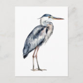 Küstenblauer Reiher Postkarte (Vorderseite)