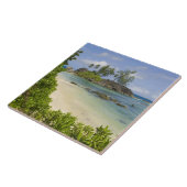 Küstenblick auf Mahe Island Fliese (Seite)