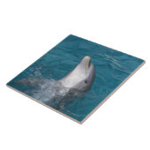 Küstenbottlenose-Delphin Fliese (Seite)
