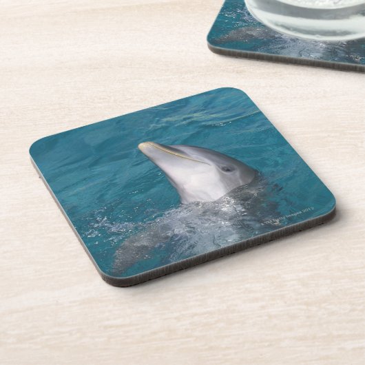 Küstenbottlenose-Delphin Untersetzer (Linke Seite)