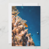 Küstenfische Brautparty von Marinefischen Einladung (Rückseite)