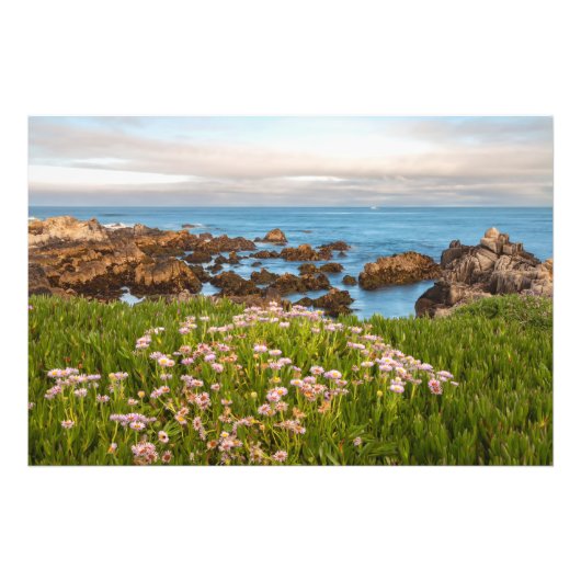 Küstenfrühling Fotodruck (Vorne)