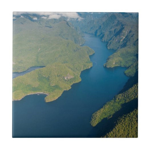 Küstenlandschaft im Regenwald des Großen Bären Fliese (Vorderseite)
