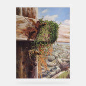 Küstenlandschaft mit Kies und verwittertem Holz. Acrylschild (Vorderseite)