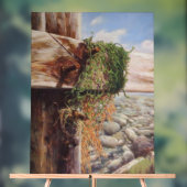 Küstenlandschaft mit Kies und verwittertem Holz. Acrylschild (Neutral)