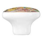 Küstenleben Hermit Krebs Muscheln Korallenmeer Keramikknauf (Seitenansicht)