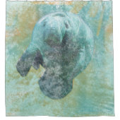 Küstenleben Schönes Herrenhaus Duschvorhang (Vorderseite)