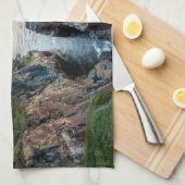 Küstenlinie | Acadia National Park, Maine Geschirrtuch (Viertel Falte)